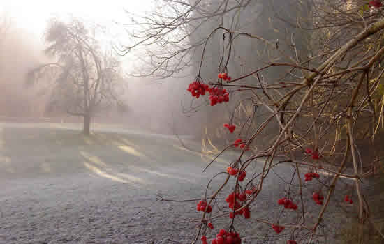 Decorazione floreale per cimitero e lapidi